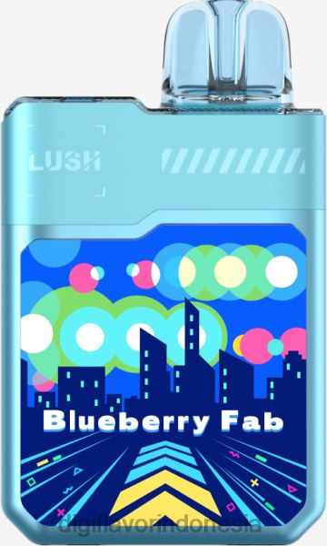 blueberry luar biasa
