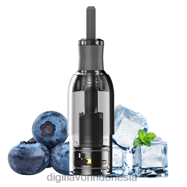 itu blueberry